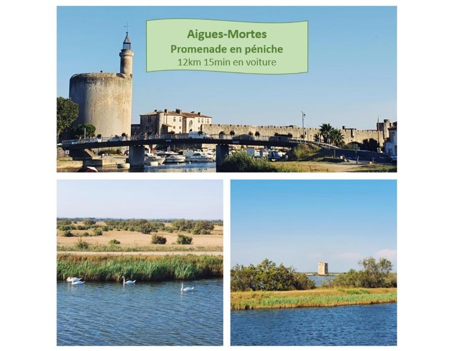 L'Olympe Vue Lac Parking Clim Wifi - Rossiconciergerie - Linge Inclus La Grande-Motte Buitenkant foto